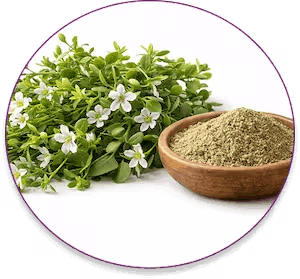 neurovera™-ingredients-2