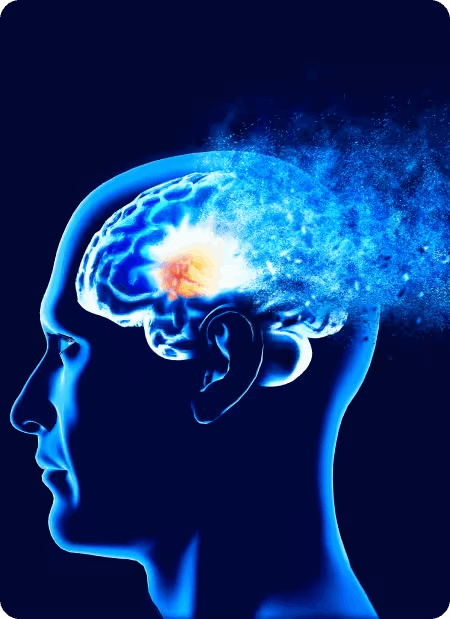 neurovera™