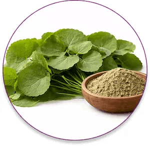 neurovera™-ingredients-1