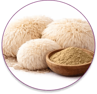 neurovera™-ingredients-4